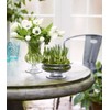 Holm Guard 4343800 Flower Bowl Diameter 7.5 inches (19 cm)