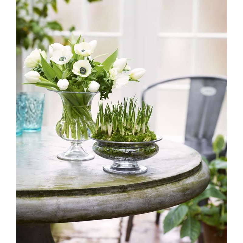 Holm Guard 4343800 Flower Bowl Diameter 7.5 inches (19 cm)