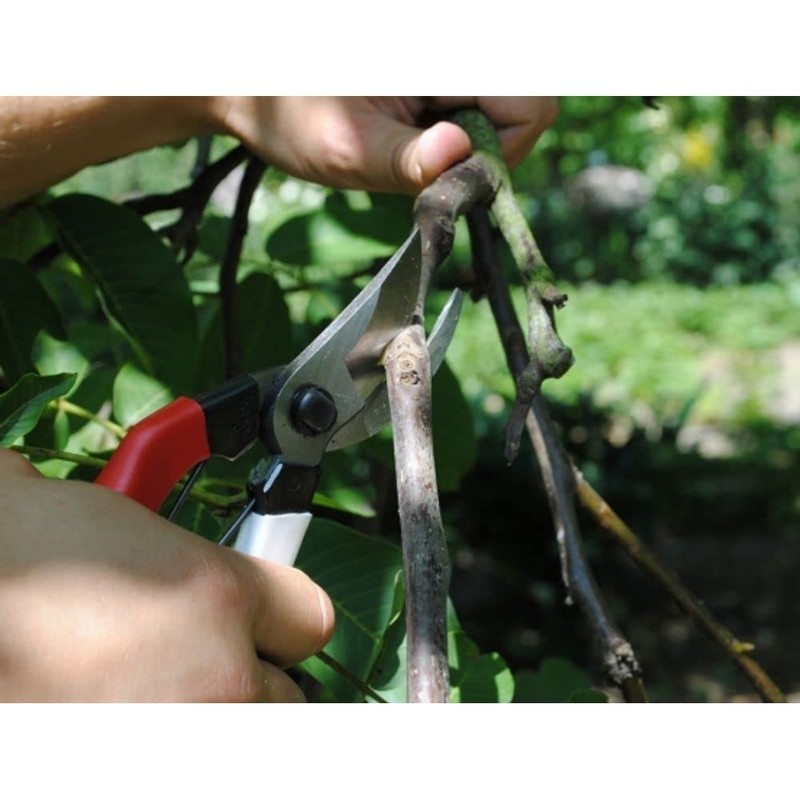 Okatsune 101 Unique Pruning Shears 7.1 inches (180 mm)