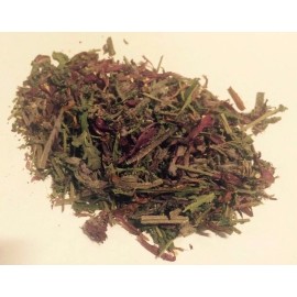 Our Sacred Garden 1 oz. Indian Warrior Herb (Pedicularis Densiflora) Wildharvested USA