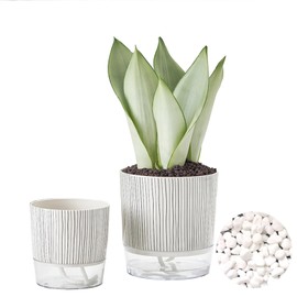 Gidary Self Watering Plant Pot，Self Watering Pots for Indoor Plants 6/4 inch 2 Pack Suitable for Indoor and Outdoor Plants,Succulents, Flowers，Comes with 1 Bag of White Pebbles