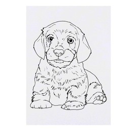 'Dachshund Puppy' Temporary Tattoo - Water Resistant, Skin-Safe, Non-Toxic Transfer (TO00085021)