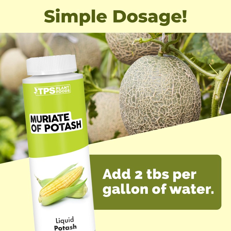 Muriate of Potash, Essential Potassium Supplement for Plants, 8 oz