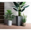 Ollain Artificial Palm Faux Plant Fake Tree Tropical Leaf Bush