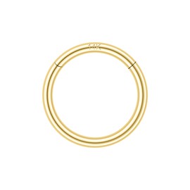 SYLWIA 14K Solid Gold 18g/16g Nose Rings, 6/8/10mm Hinged Segment Septum Rings, Real Gold Lip Tragus Helix Cartilage Conch Earring Hoops Piercing for Women Men (6mm/16g)