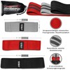 Raigeki Fitness Bands Fabric Resistance Bands [Set of 3] (+