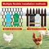 Chicken Oyster Shell Feeder and Automatic Gravity Chicken Feeder Combo