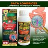 Tierra Naturaleza Removes Worms Drinkable Supplement 500 ml. Treats Parasites,