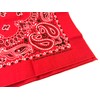 HAV-A-HANK Genuine MADE IN USA Bandanna 22 in Extra Large