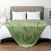 PAVILIA Sage Green Fleece Throw Blanket for Couch, Light Olive