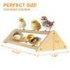 Chicken Toys with Mirror, Roosting Bars for Chicks in Coop