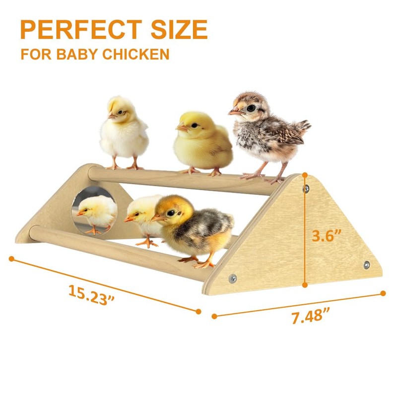 Chicken Toys with Mirror, Roosting Bars for Chicks in Coop