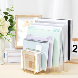 Chivertion 2 Pcs 7 Slot Incline File Sorter Metal Wire Mesh File Racks for Desktop File Letter Sorter for Magazine Folder Book Organizer Home School Office Paper Mail Desk Storage Holder (Golden)