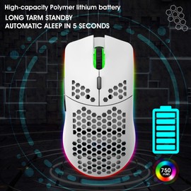 Drahtlose Gaming Maus, 2,4G Superleichte Wabenschale Ergonomische RGB-Mäuse mit 750mAh Akku, Energiesparendes Design, 6 Tasten und Mini-USB-Empfänger für Windows, Mac OS, Laptop, Smart-TV(Weiß)