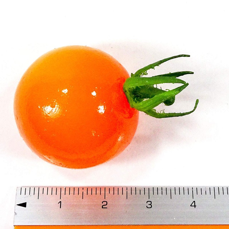 Food Sample Magnet, Mini Tomatoes (Orange), 242 OM
