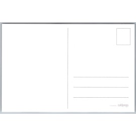 Cafe Press Boston Terrier Dog Sanda Milkbone Elf Sleigh USA Flag Moon postcard Modern 4x6"