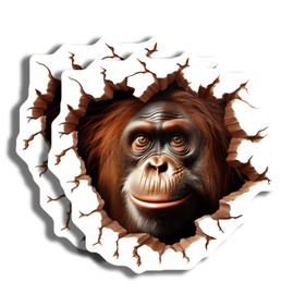 Orangutan Stickers - 3D Animal Stickers - Wildlife Decor - 2 Pack - 5" On Longest Side - Made in USA - PLDFS4205