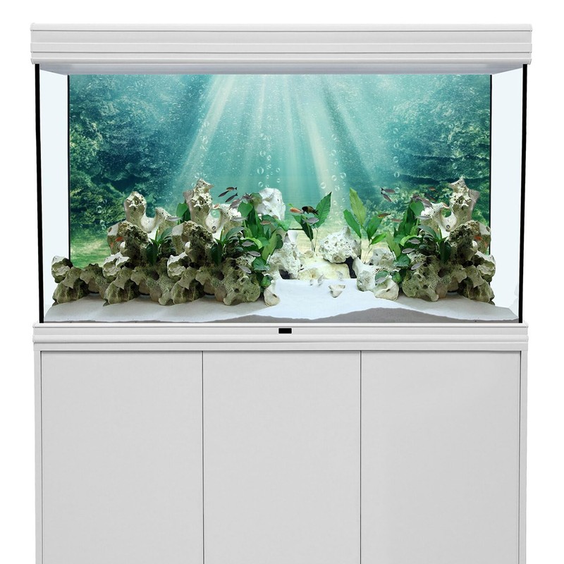 AWERT 60x24 inches Aquarium Background Aquatic Plant Bubble Underwater Ocean