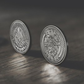 CHURYUML - Juego de 5 fichas de recordatorio de monedas estoicas para estoico diario, moneda de Amor Fati, moneda de bonificación Summum y más