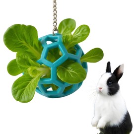 nsgglecher Rabbit Treat Ball, Bunny Enrichment Toy with Stainless Steel Hanger Set, Veggie Feeding Rabbit Ball Toy to Slow Feeder for Bunny, Guinea Pig, Hedgehog, Squirrel, Tortoise