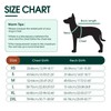 Kuoser Small Life Jacket for Dogs, Life Jacket with Handle