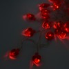 Heart Shape 20LED String Lights 2M Copper Wire Light for