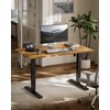 Marsail Electric Standing Desk with Sedentary Reminder, 48 * 24