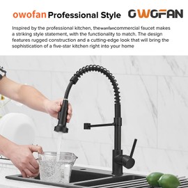 OWOFAN Modern Single Handle Spring Kitchen Faucet with Pull Down Sprayer, Matte Black Kitchen Sink Faucet 866080R