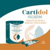 ERBA VITA Cartidol Collagene integratore alimentare in formato stick pack