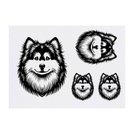Azeeda 4 x 'Finnischer Lapphund' Temporäre Tattoos - Wasserfest, Hautfreundlich & Ungiftig · Transfers in Verschiedenen Größen (TO00075944)