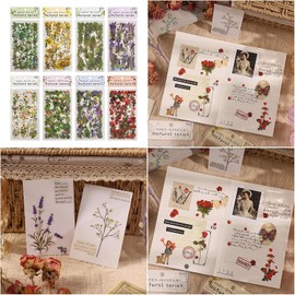 Pegatina de vida artística, pegatinas para álbumes de recortes, pegatinas decorativas adhesivas para equipaje, vidrio, agendas, cuadernos, álbumes de recortes decorativos