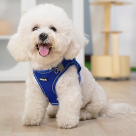 AIITLE Comfortable Dog Harness and Leash Set for Walking - Step in Vest Harness,Reflective Bands, Adjustable No Pull Puppy Essentials, for Small Dogs and House Cats Royal Blue XS