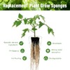 Hydroponic Grow Sponges for AeroGarden & iDOO - 60 Pack