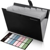 SKYDUE Document Folder A4, Folder with 8 Compartments, A4 Expanding