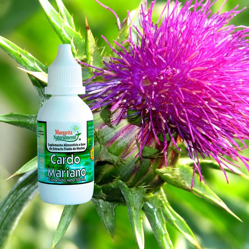 Extracto Cardo Mariano Margarite Natura 50ml by Gaero Regeneración Protección