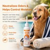 READY TO PETS Ear Cleaner – Otic Ear Care Solution