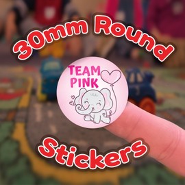 Stone Melon Gender Reveal Baby Shower Stickers 144 Team Blue Pink Elephant Stickers 30mm Round Boy Girl