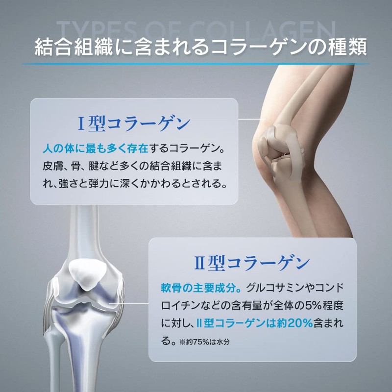 HALEO AURA Type I + Type II Collagen, Double Blended,