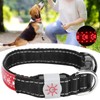 LED Pet Adjustable Collar USB Rechargeable Soft Dog Lighting Night