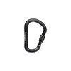 BLACK DIAMOND RockLock Screwgate Carabiner | Hot-Forged, Lightweight | Keylock