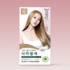 Jenny House Premium Hair Color Ash Nude Beige 12AND 120g / 제니하우스 프리미엄 헤어컬러 애쉬누드베이지 12AND 120g