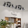 SEEBLEN 4-Light Track Lighting Kit, Directional Ceiling Light, Industrial Black