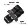 EVIL ENERGY 12AN to 1 BSPT Pipe Fitting Adapter Aluminum