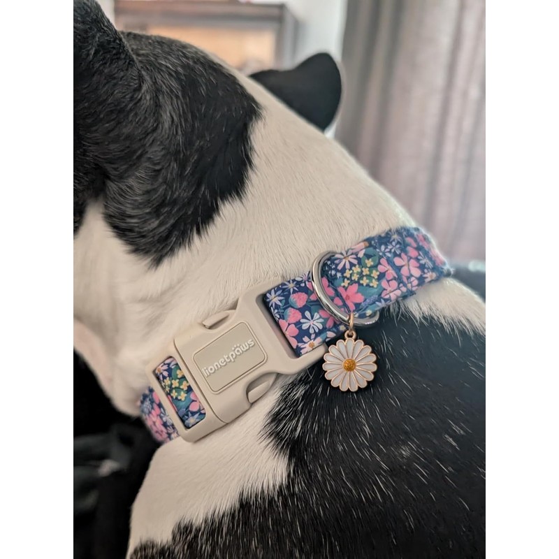 Lionet Paws Floral Dog Collar- Cute Spring Wildflowers Daisy Fleabane
