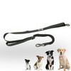 Dog Leash with Shock Absorber and Short Grip Handle -