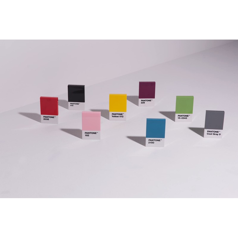Pantone 108000419 419 °C Black Plastic Holder 6 x 9.50