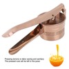 Lemon Squeezer Stainless Steel Long Handle Hand Held Juice Press