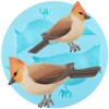 3D Bird Silicone Mold Birds Fondant Chocolate Mold