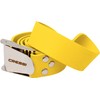Cressi Unisex Adult Quick Release Elastic Belt With Metal Buckle
