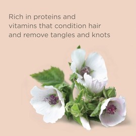 Hairitage Outta My Hair Gentle Daily Moisture Shampoo and SOS Deep Moisture Conditioner - 1 Liter Set, For hair types 1A-4C, With Jojoba Oil and Signature Fragrance